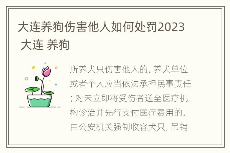 大连养狗伤害他人如何处罚2023 大连 养狗