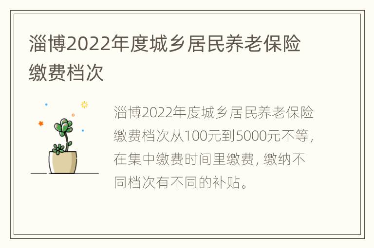 淄博2022年度城乡居民养老保险缴费档次