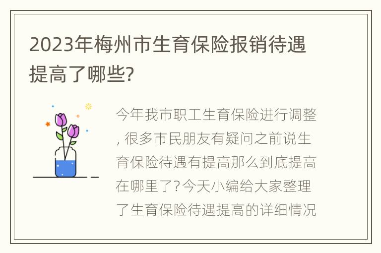 2023年梅州市生育保险报销待遇提高了哪些？