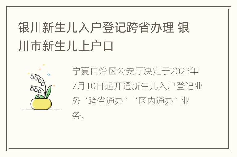 银川新生儿入户登记跨省办理 银川市新生儿上户口