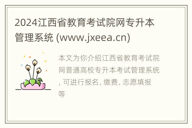 2024江西省教育考试院网专升本管理系统 (www.jxeea.cn)