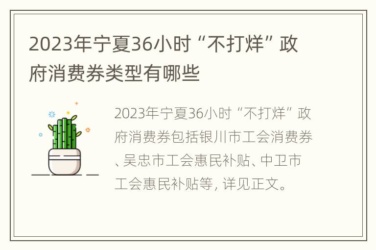 2023年宁夏36小时“不打烊”政府消费券类型有哪些