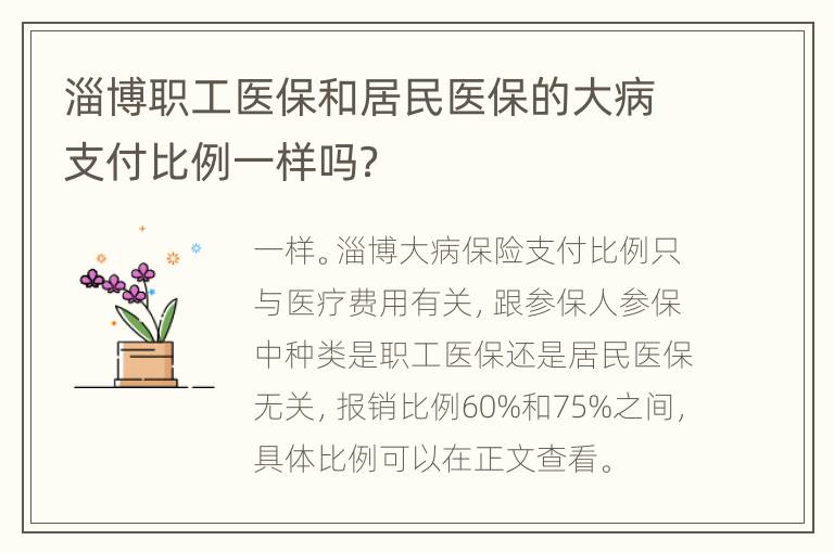 淄博职工医保和居民医保的大病支付比例一样吗？