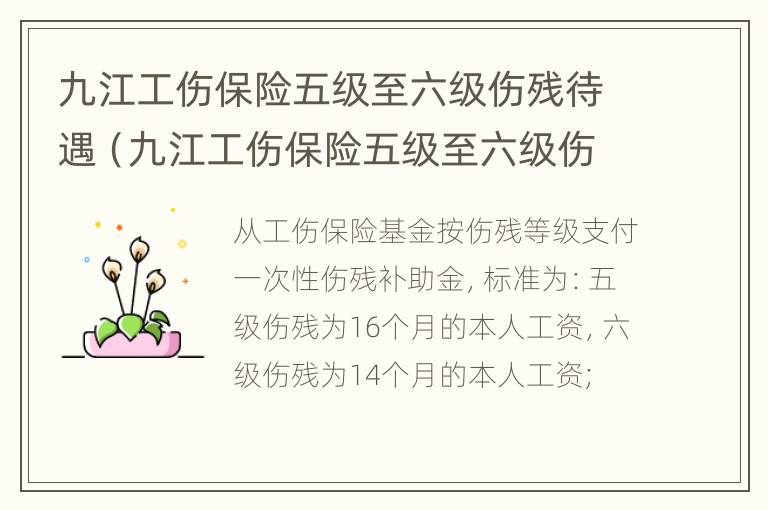 九江工伤保险五级至六级伤残待遇（九江工伤保险五级至六级伤残待遇是多少）