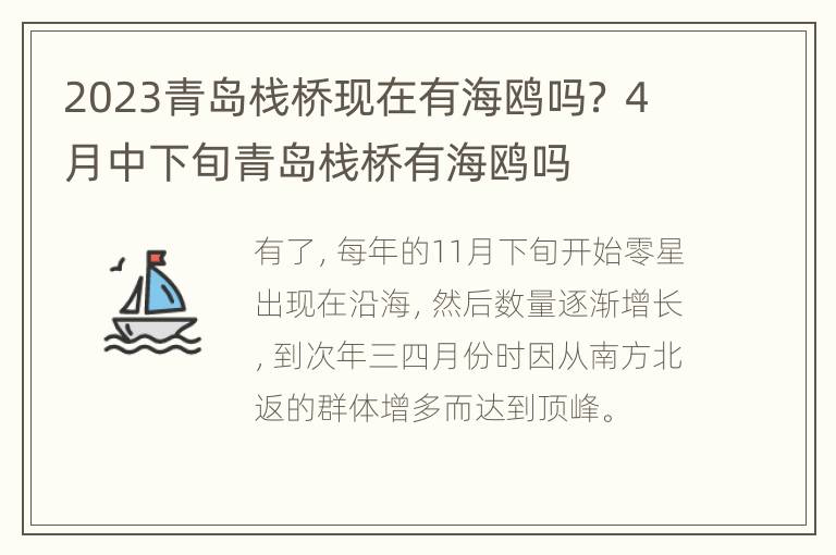 2023青岛栈桥现在有海鸥吗？ 4月中下旬青岛栈桥有海鸥吗