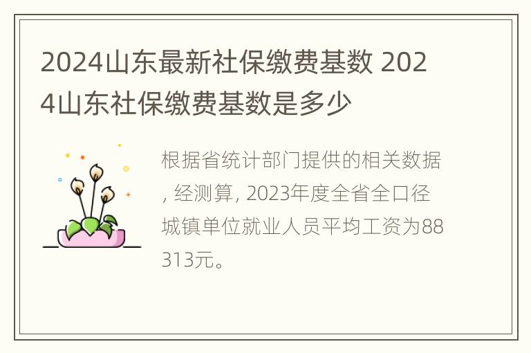 2024山东最新社保缴费基数 2024山东社保缴费基数是多少