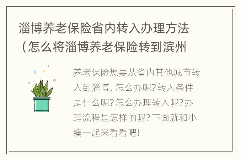 淄博养老保险省内转入办理方法（怎么将淄博养老保险转到滨州）