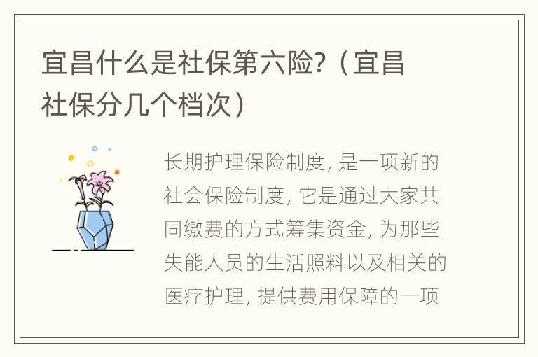 宜昌什么是社保第六险？（宜昌社保分几个档次）