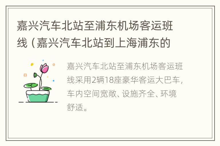 嘉兴汽车北站至浦东机场客运班线（嘉兴汽车北站到上海浦东的班车）