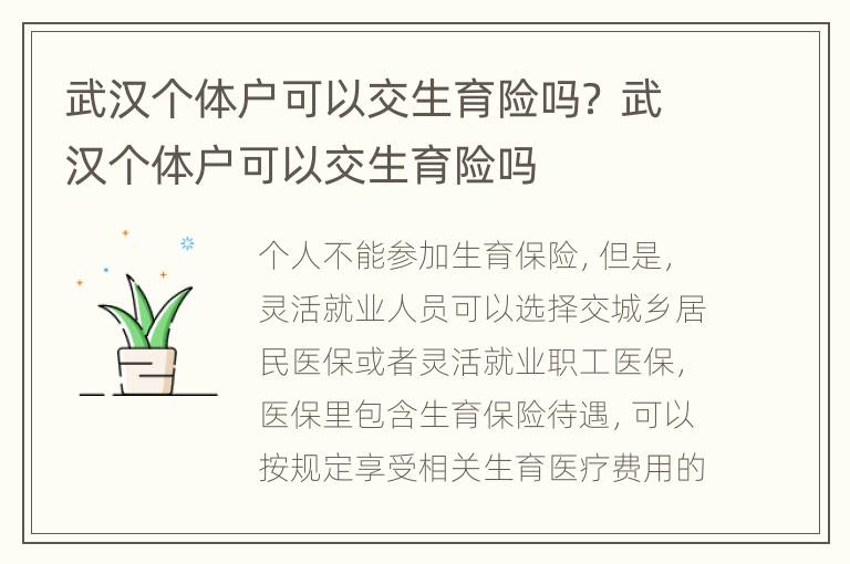 武汉个体户可以交生育险吗？ 武汉个体户可以交生育险吗