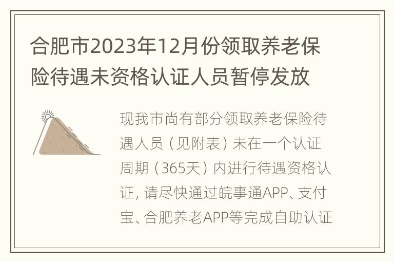 合肥市2023年12月份领取养老保险待遇未资格认证人员暂停发放待遇