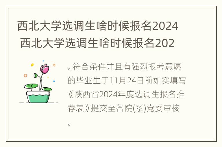 西北大学选调生啥时候报名2024 西北大学选调生啥时候报名2024年