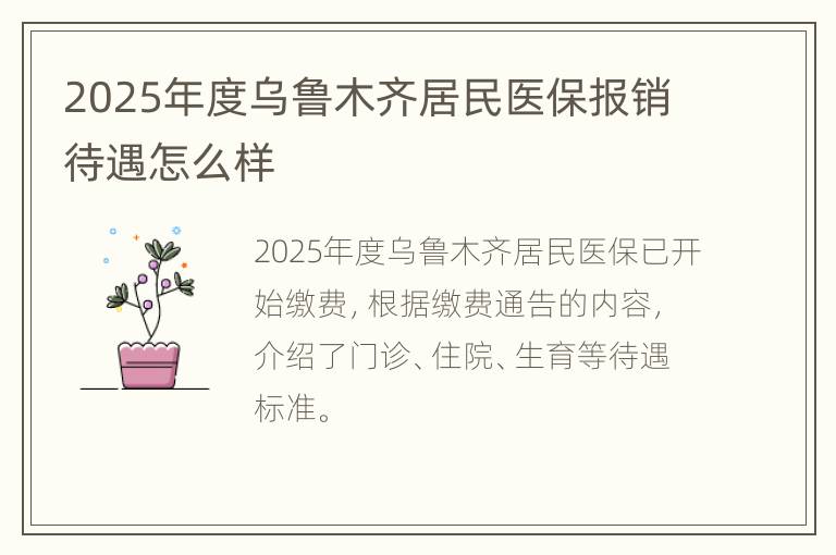 2025年度乌鲁木齐居民医保报销待遇怎么样