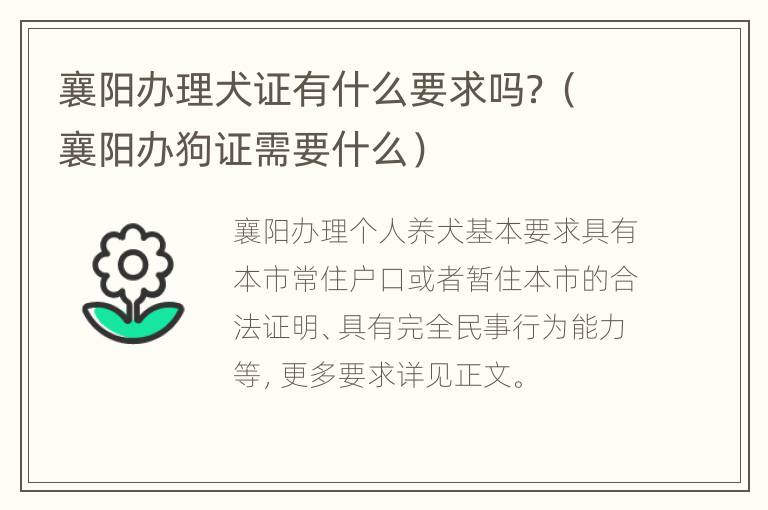 襄阳办理犬证有什么要求吗？（襄阳办狗证需要什么）