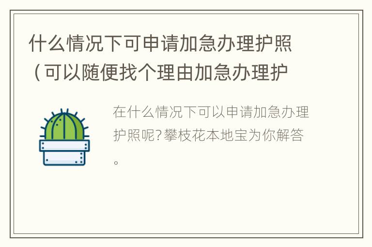 什么情况下可申请加急办理护照（可以随便找个理由加急办理护照吗）