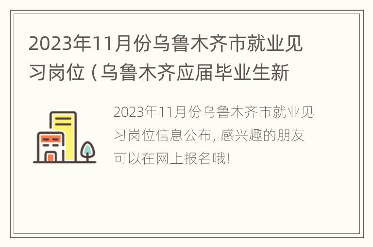 2023年11月份乌鲁木齐市就业见习岗位（乌鲁木齐应届毕业生新政策）