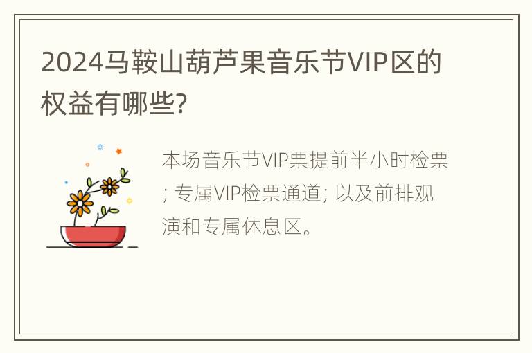 2024马鞍山葫芦果音乐节VIP区的权益有哪些？