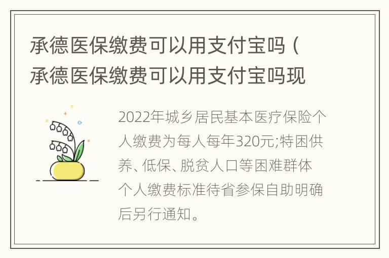 承德医保缴费可以用支付宝吗（承德医保缴费可以用支付宝吗现在）