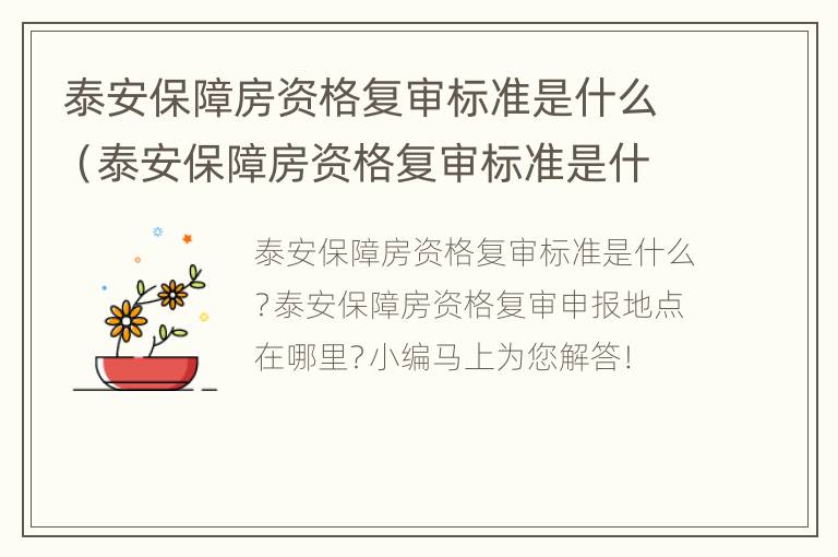 泰安保障房资格复审标准是什么（泰安保障房资格复审标准是什么样的）