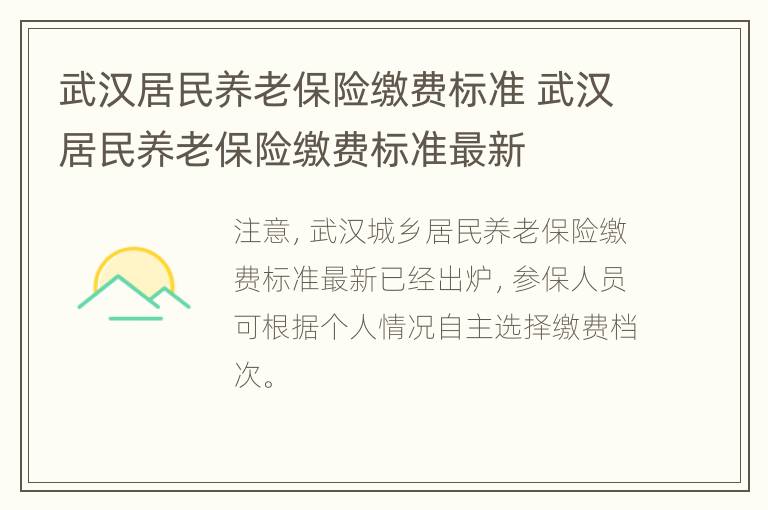 武汉居民养老保险缴费标准 武汉居民养老保险缴费标准最新