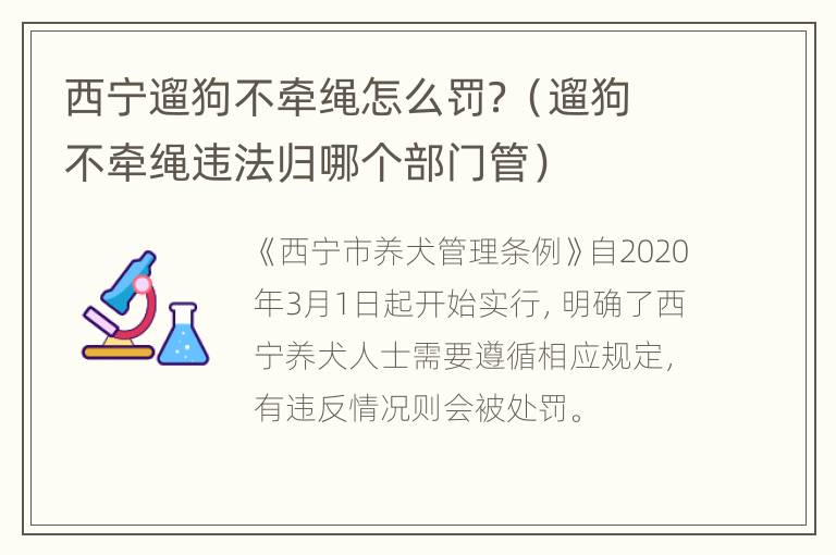 西宁遛狗不牵绳怎么罚？（遛狗不牵绳违法归哪个部门管）