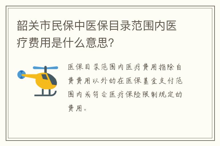 韶关市民保中医保目录范围内医疗费用是什么意思？