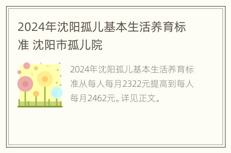 2024年沈阳孤儿基本生活养育标准 沈阳市孤儿院