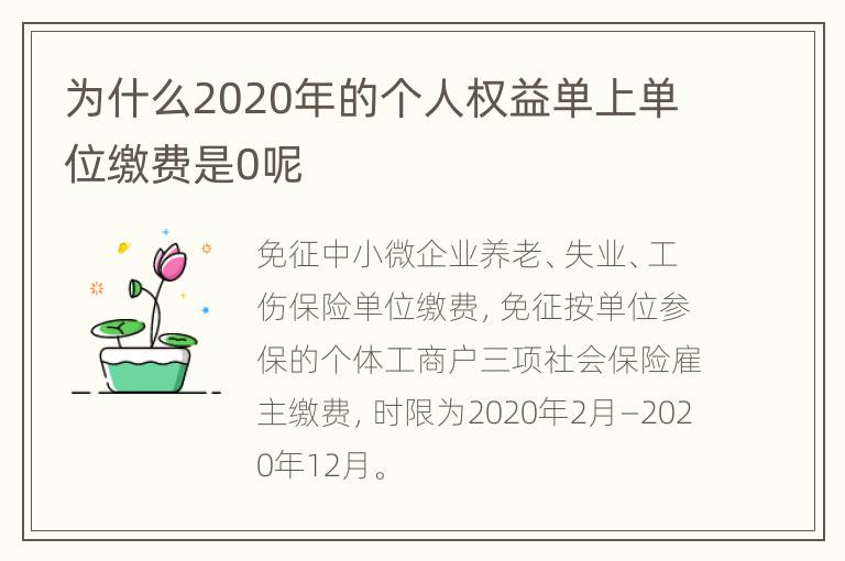 为什么2020年的个人权益单上单位缴费是0呢