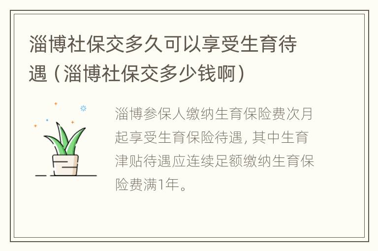 淄博社保交多久可以享受生育待遇（淄博社保交多少钱啊）