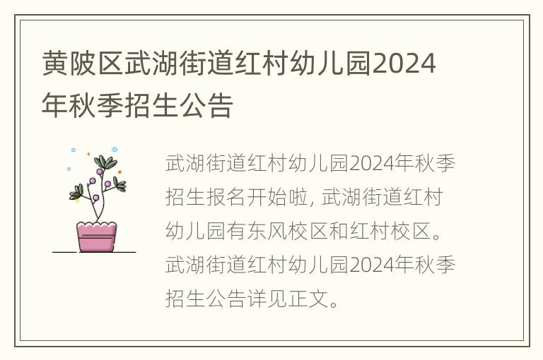 黄陂区武湖街道红村幼儿园2024年秋季招生公告