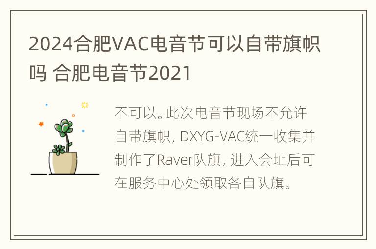 2024合肥VAC电音节可以自带旗帜吗 合肥电音节2021