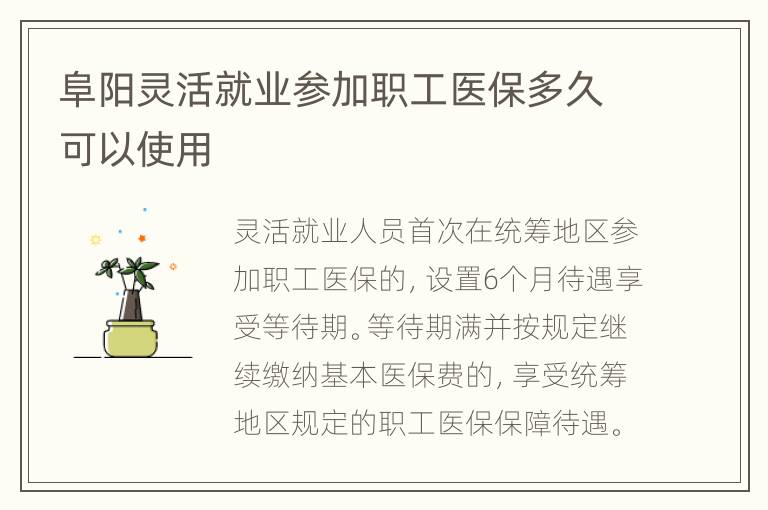 阜阳灵活就业参加职工医保多久可以使用