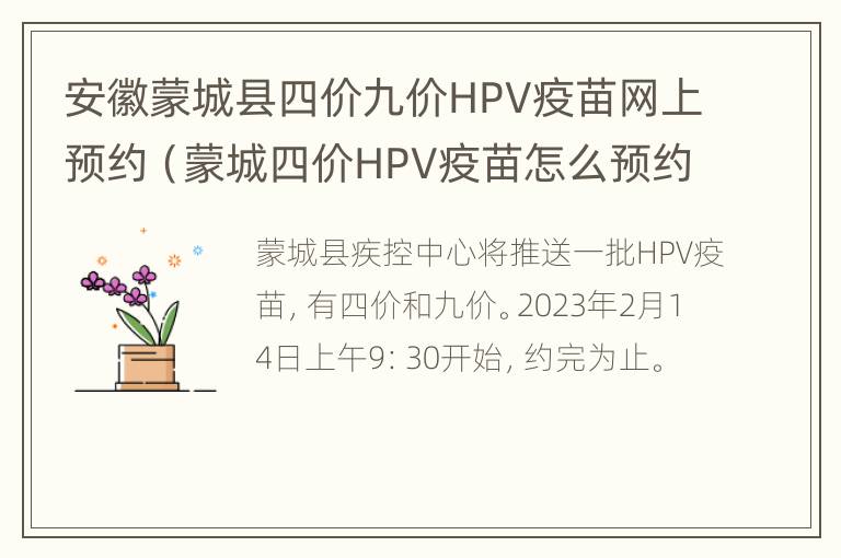 安徽蒙城县四价九价HPV疫苗网上预约（蒙城四价HPV疫苗怎么预约）