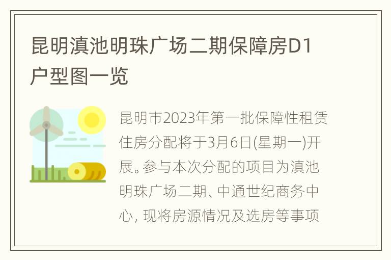 昆明滇池明珠广场二期保障房D1户型图一览