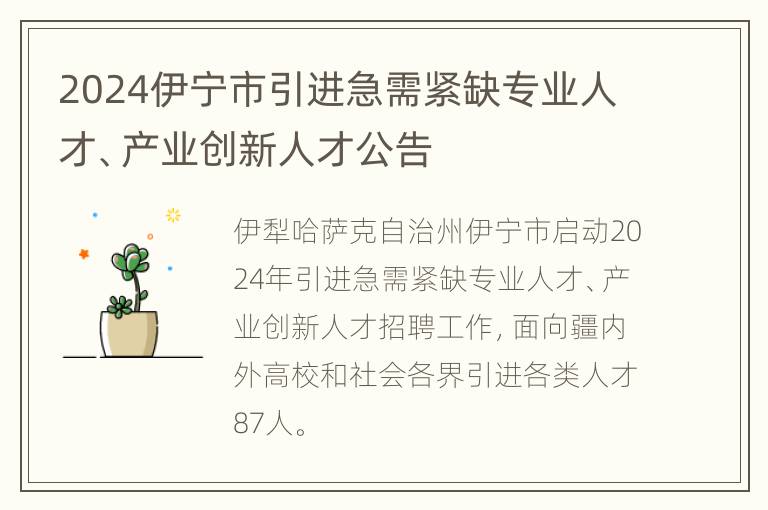 2024伊宁市引进急需紧缺专业人才、产业创新人才公告