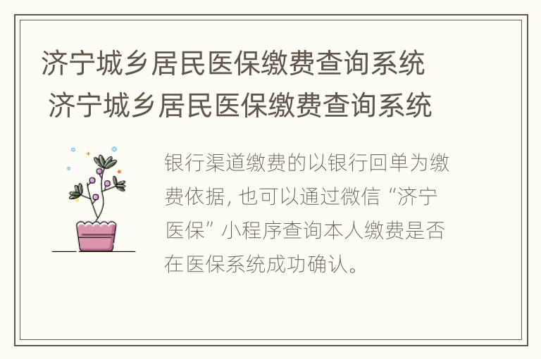 济宁城乡居民医保缴费查询系统 济宁城乡居民医保缴费查询系统网址