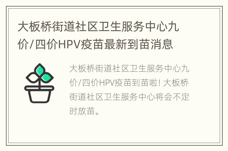 大板桥街道社区卫生服务中心九价/四价HPV疫苗最新到苗消息