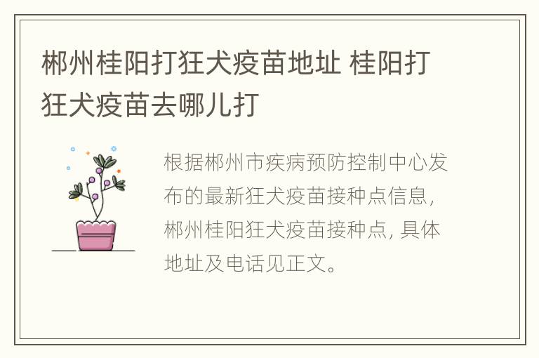 郴州桂阳打狂犬疫苗地址 桂阳打狂犬疫苗去哪儿打