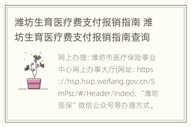 潍坊生育医疗费支付报销指南 潍坊生育医疗费支付报销指南查询