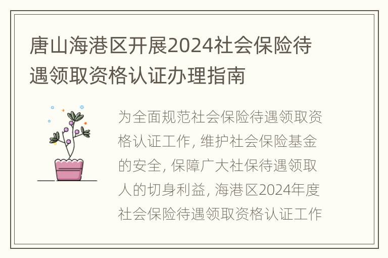 唐山海港区开展2024社会保险待遇领取资格认证办理指南