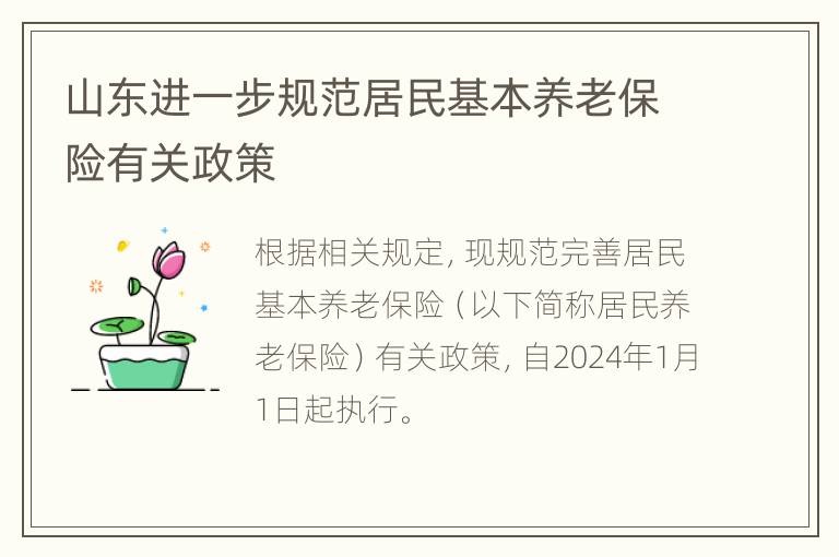 山东进一步规范居民基本养老保险有关政策