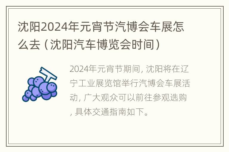 沈阳2024年元宵节汽博会车展怎么去（沈阳汽车博览会时间）