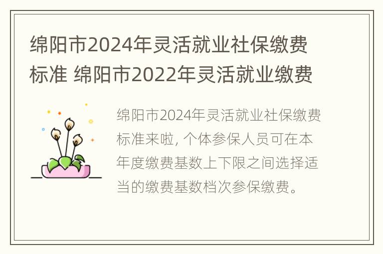 绵阳市2024年灵活就业社保缴费标准 绵阳市2022年灵活就业缴费表