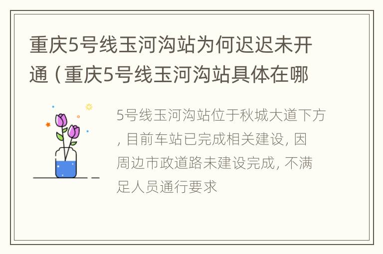 重庆5号线玉河沟站为何迟迟未开通（重庆5号线玉河沟站具体在哪个位置）