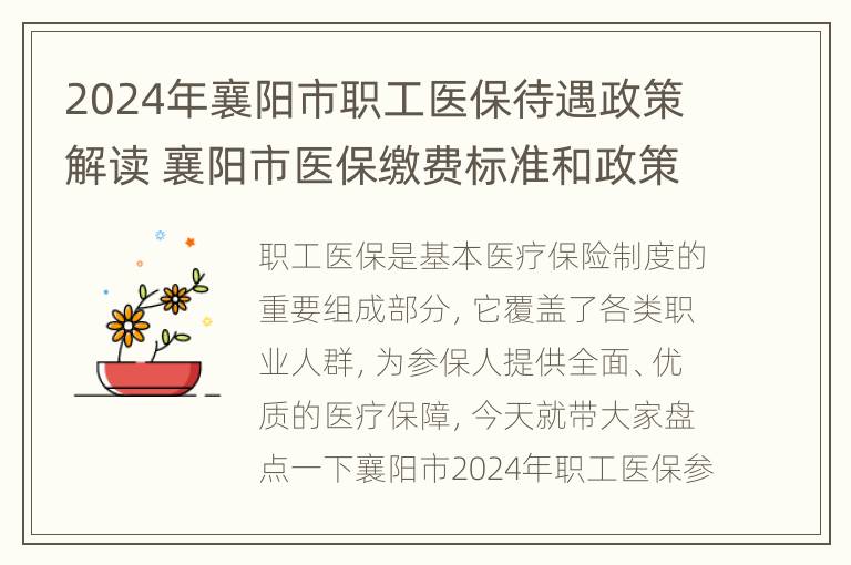 2024年襄阳市职工医保待遇政策解读 襄阳市医保缴费标准和政策