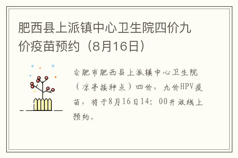 肥西县上派镇中心卫生院四价九价疫苗预约（8月16日）