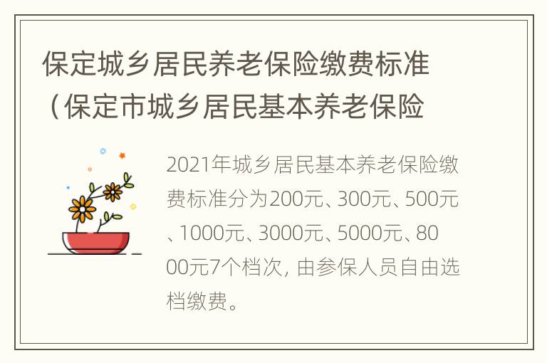 保定城乡居民养老保险缴费标准（保定市城乡居民基本养老保险）