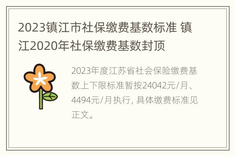 2023镇江市社保缴费基数标准 镇江2020年社保缴费基数封顶