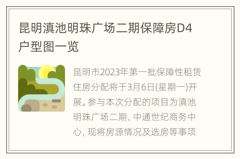 昆明滇池明珠广场二期保障房D4户型图一览