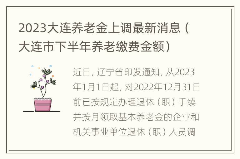 2023大连养老金上调最新消息（大连市下半年养老缴费金额）